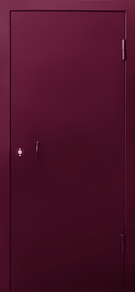 Внешняя сторона Техническая дверь-скелет RAL 4004 (01)