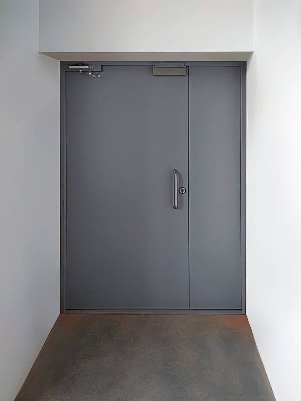 Дверь для НПП «МЕРА» (г. Мытищи) Дверь для НПП «МЕРА» (г. Мытищи)