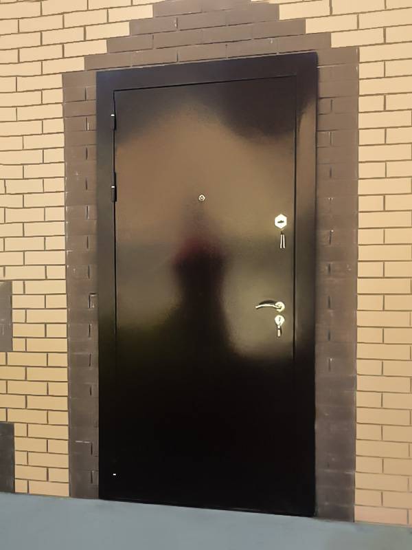 Дверь с порошковым покрытием (коттеджный поселок) Дверь с порошковым покрытием (коттеджный поселок)