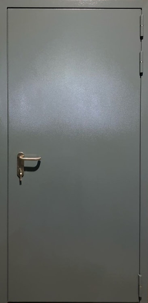 Однопольная противопожарная глухая дверь 32 (порошковое напыление) Однопольная глухая противопожарная дверь EI 60 RAL 7046 (фурнитура хром) (14)