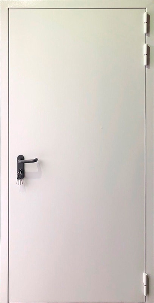 Однопольная противопожарная глухая дверь 34 (порошковое напыление) Однопольная глухая противопожарная дверь EI 60 RAL 9016 (04)