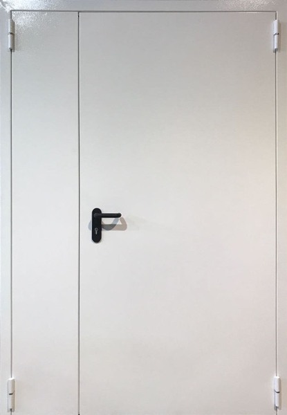 Противопожарная дверь белая Полуторная глухая противопожарная дверь EI 60 RAL 9012 (с автоматическим порогом) (08)